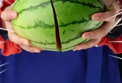 今日吃瓜往期,回顾往期精彩瞬间，揭秘娱乐圈幕后故事